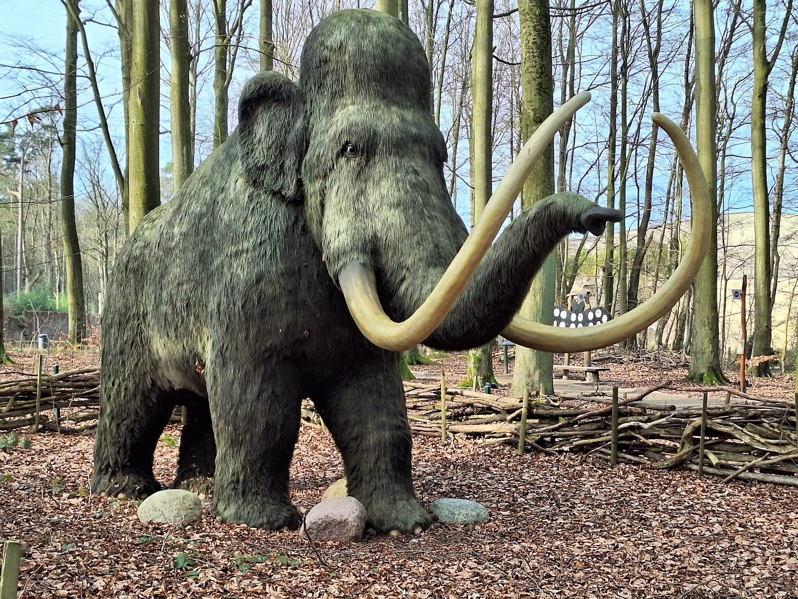 Ростокский зоопарк – дом для множества животных.