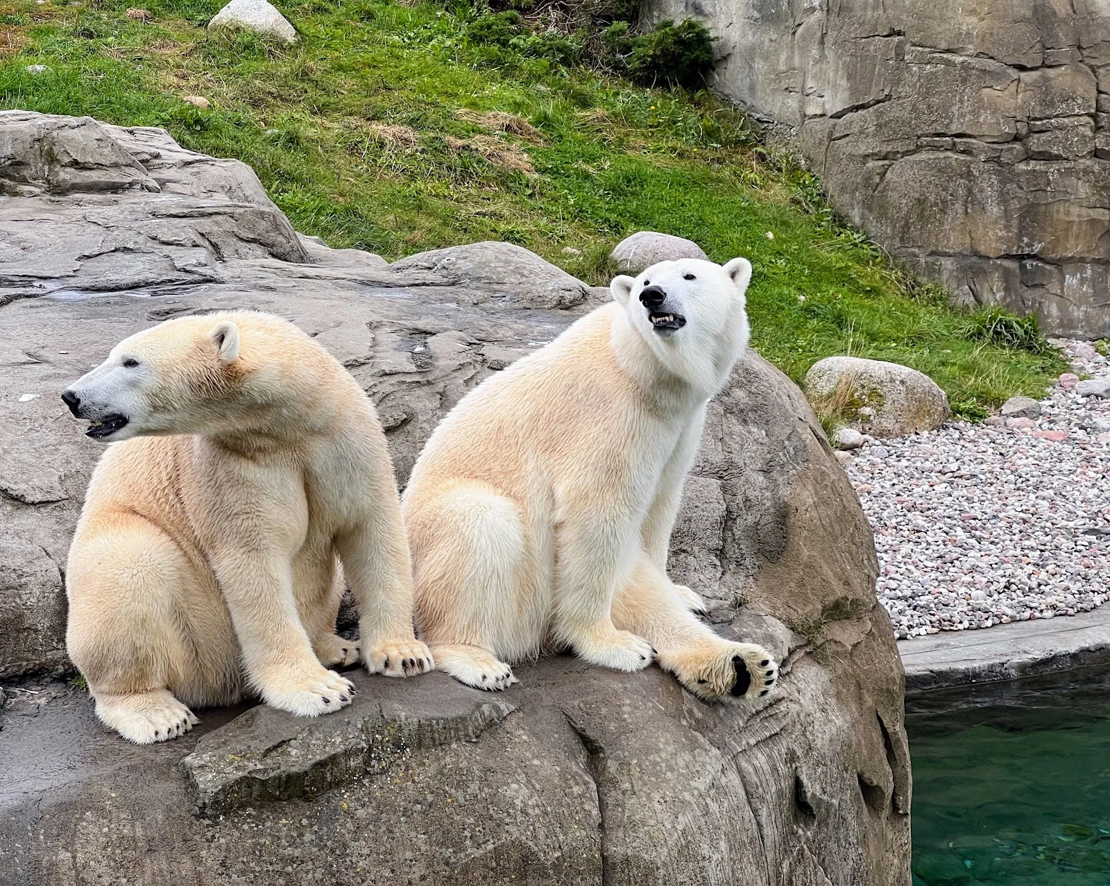 Ростокский зоопарк – дом для множества животных.