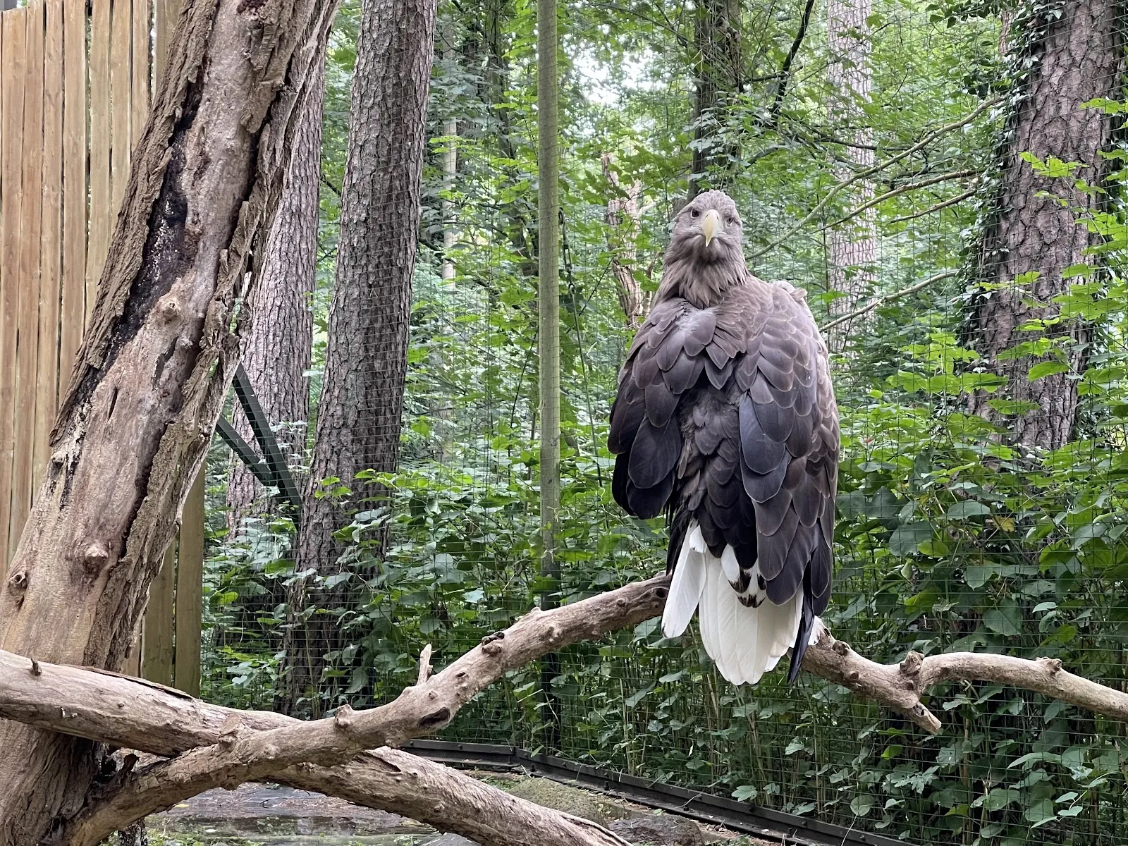 Ростокский зоопарк – дом для множества животных.