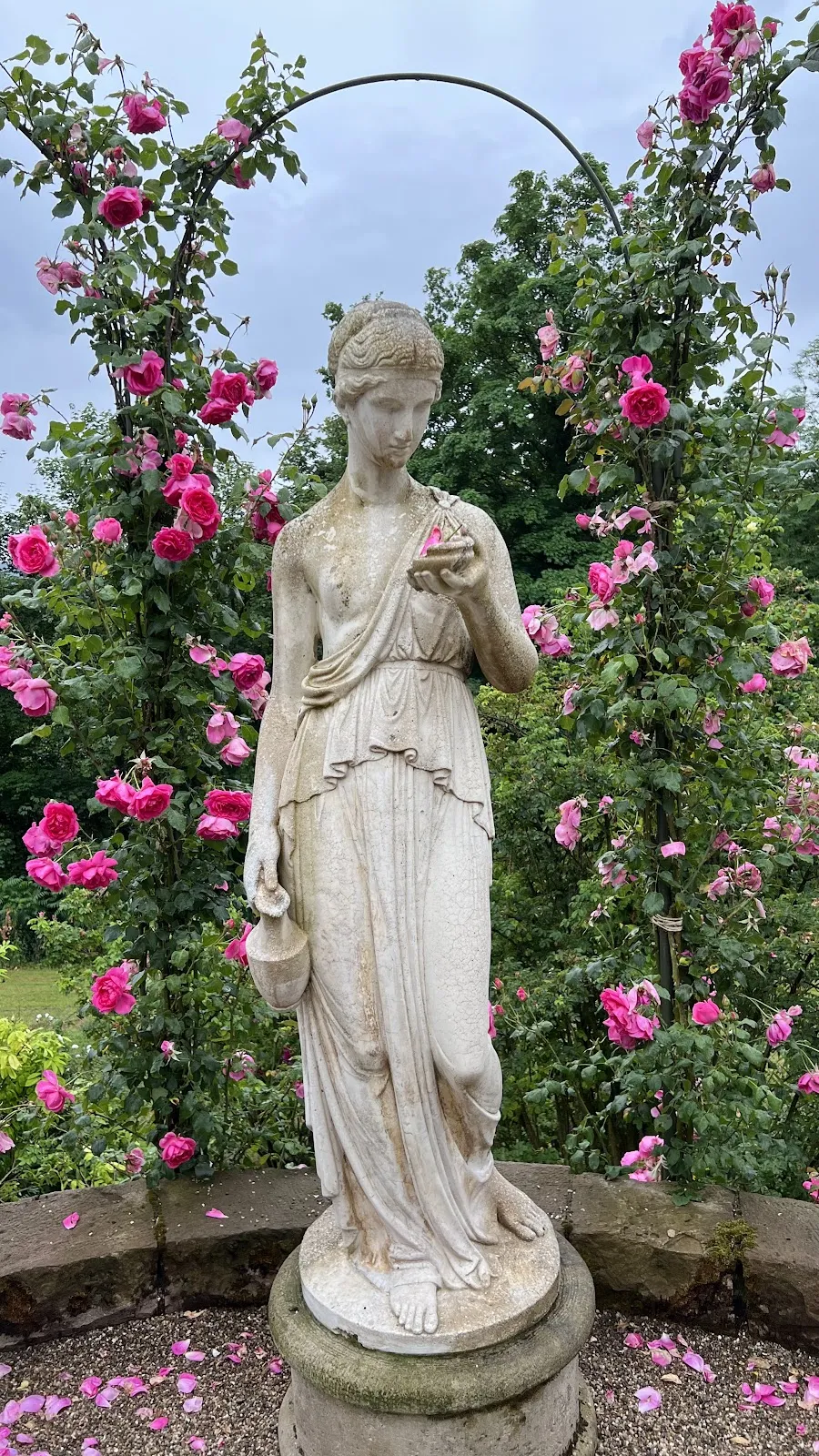 Живописные розы в Розеннойхайтенгартен ауф дем Бойтиг