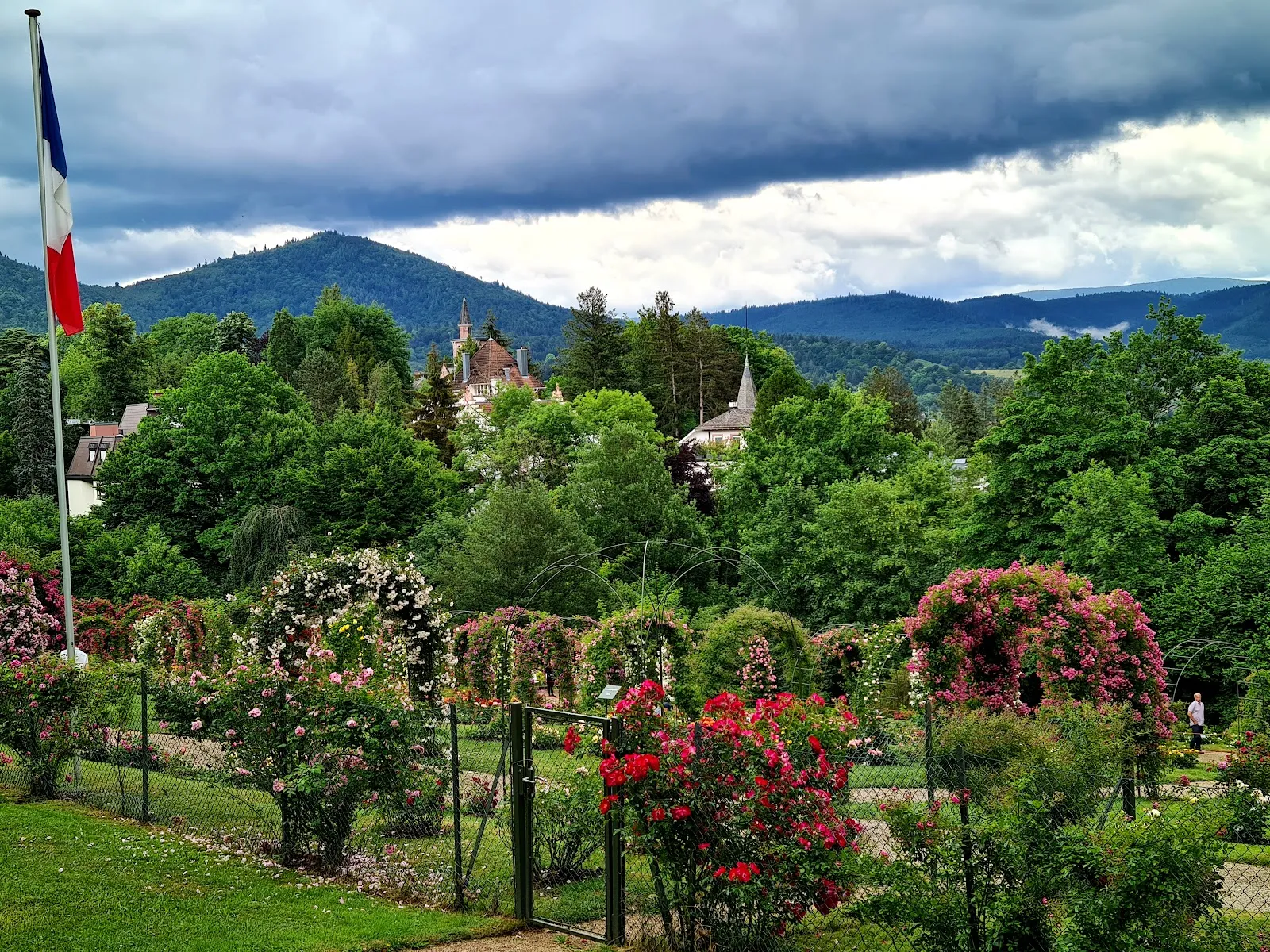 Живописные розы в Розеннойхайтенгартен ауф дем Бойтиг