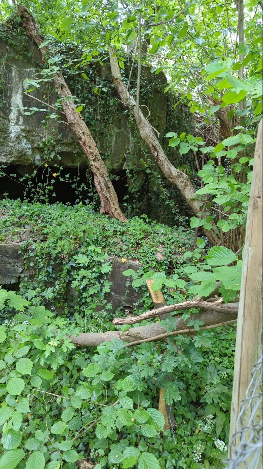 Вид на руины старого бункера в Германии