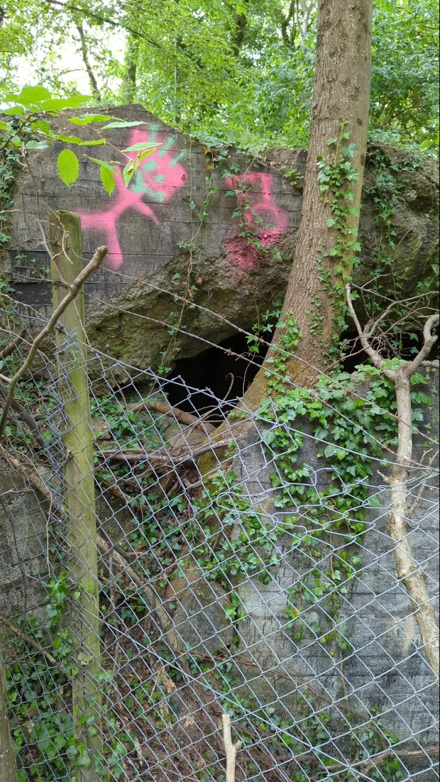 Вид на руины старого бункера в Германии