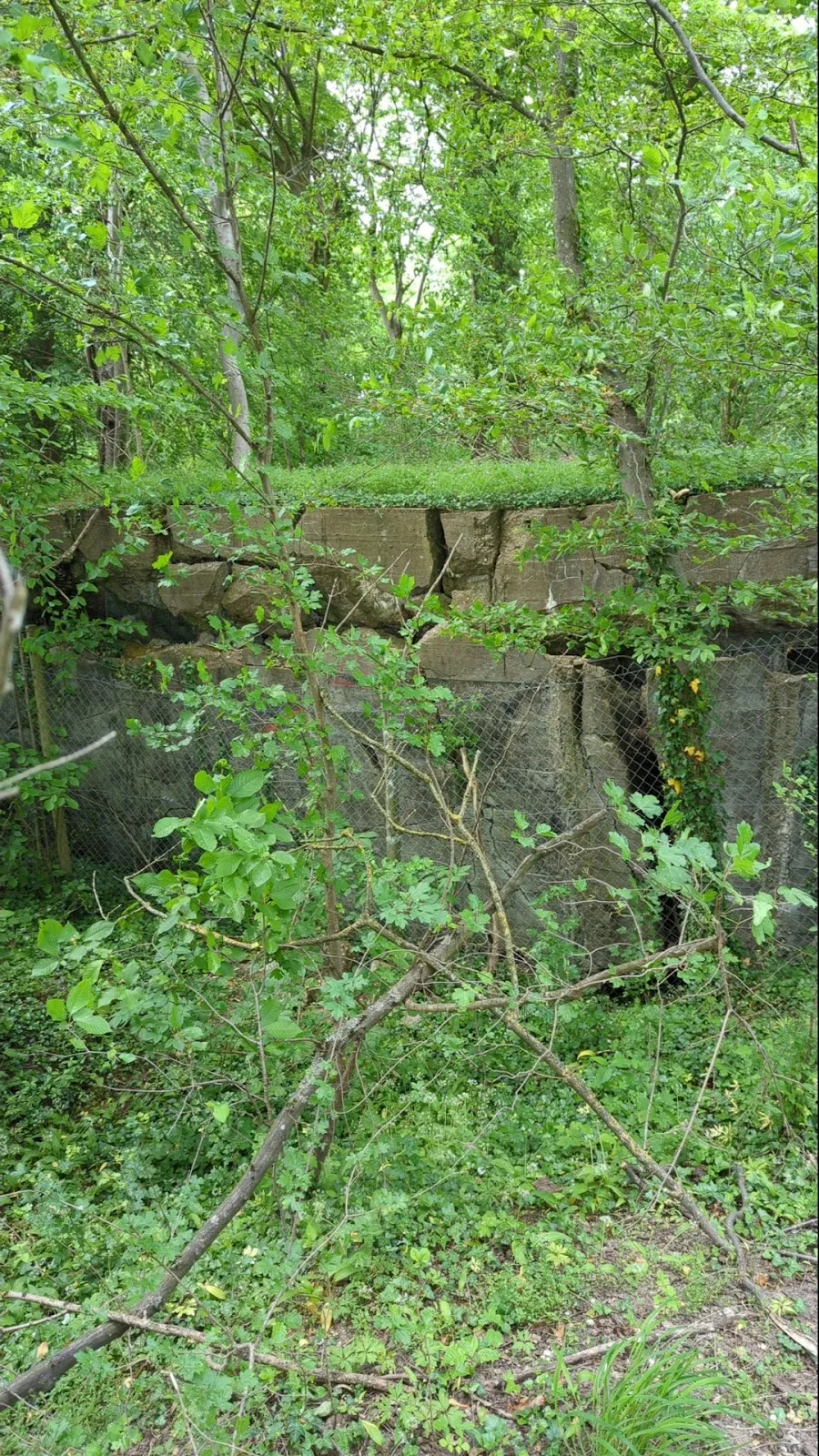 Вид на руины старого бункера в Германии