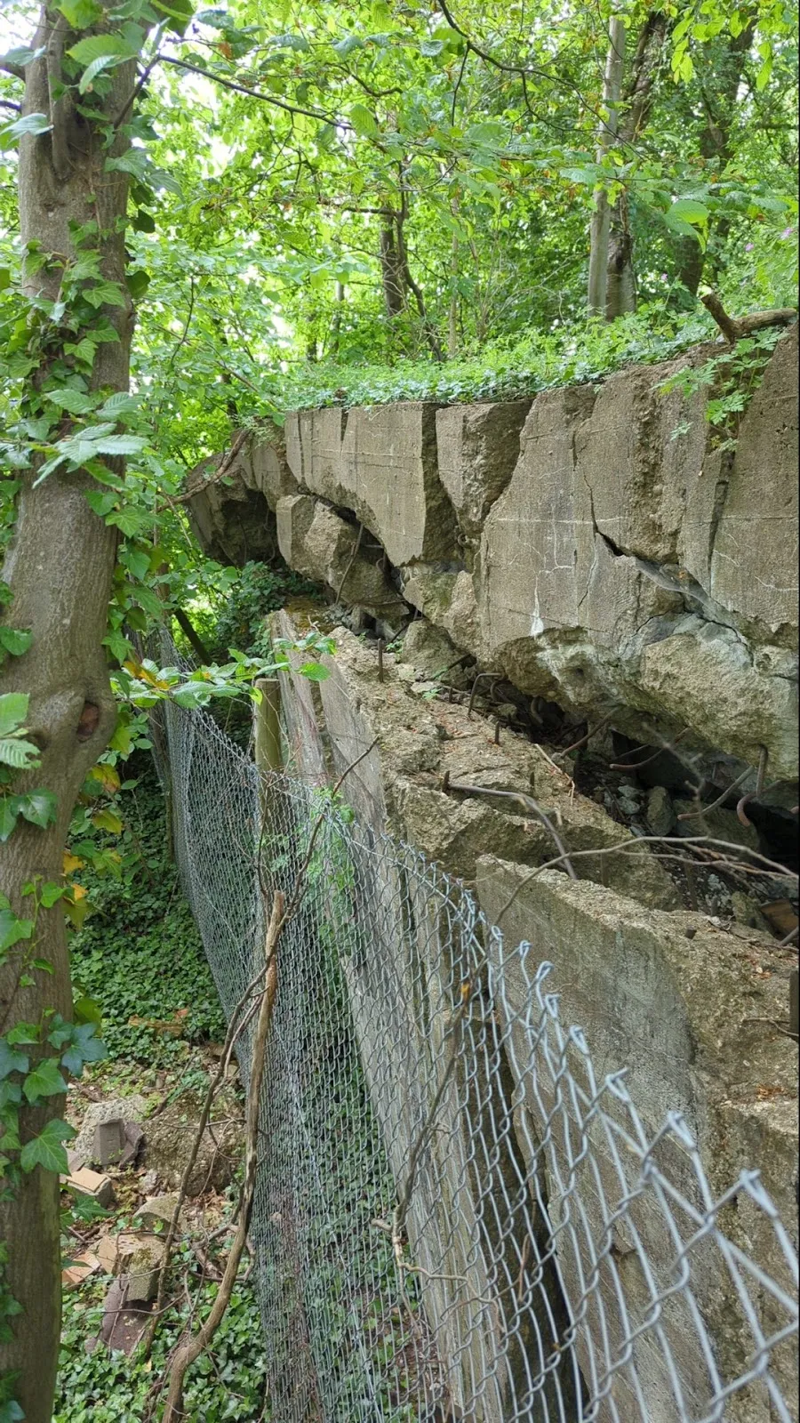Вид на руины старого бункера в Германии
