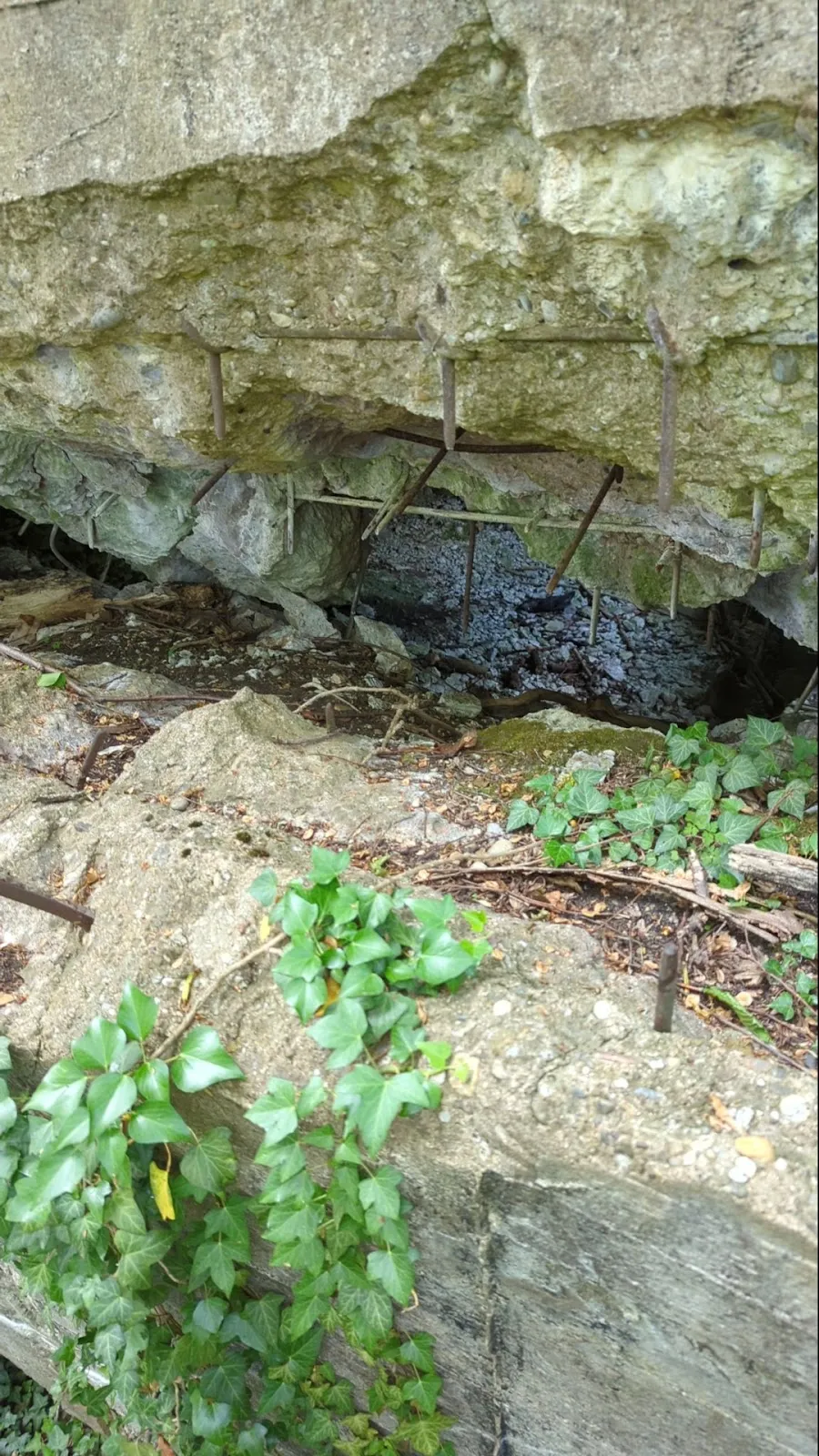 Вид на руины старого бункера в Германии