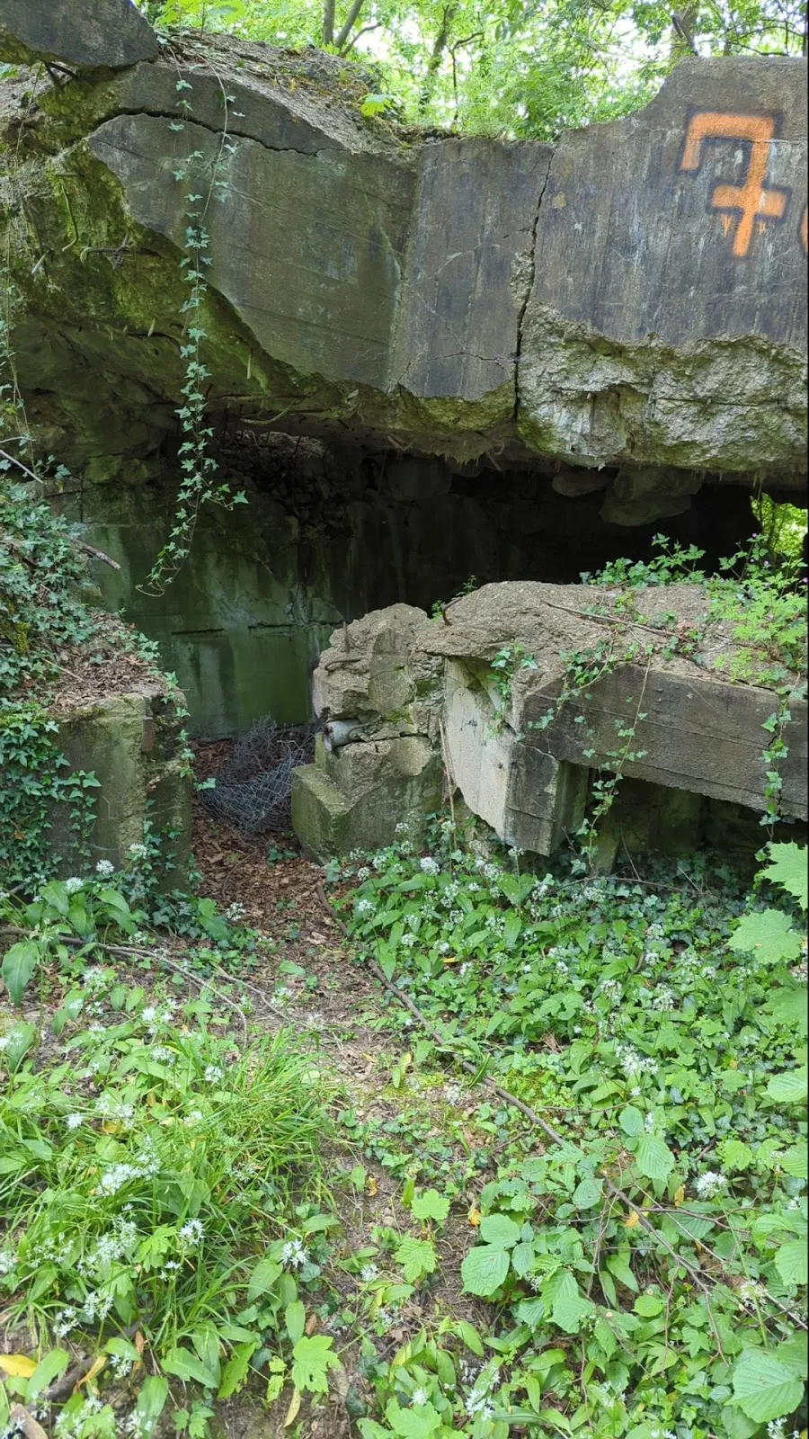 Вид на руины старого бункера в Германии