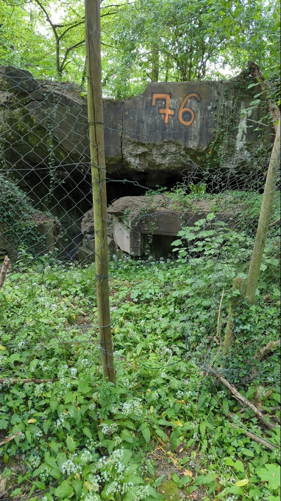 Вид на руины старого бункера в Германии