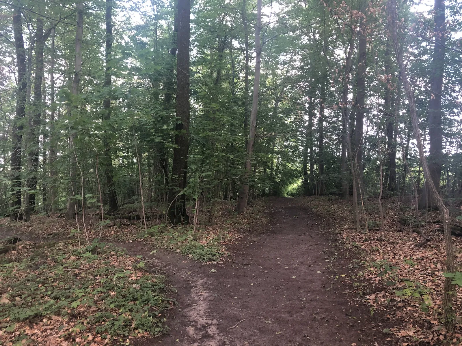 Руины исторической башни Хазенбергтурм в Штутгарте