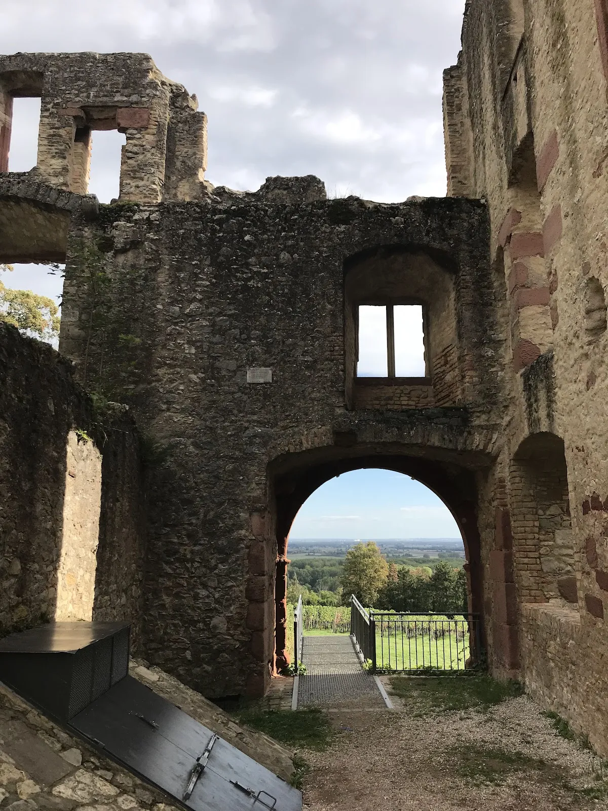 Руины замка Ландскрон над долиной Рейна