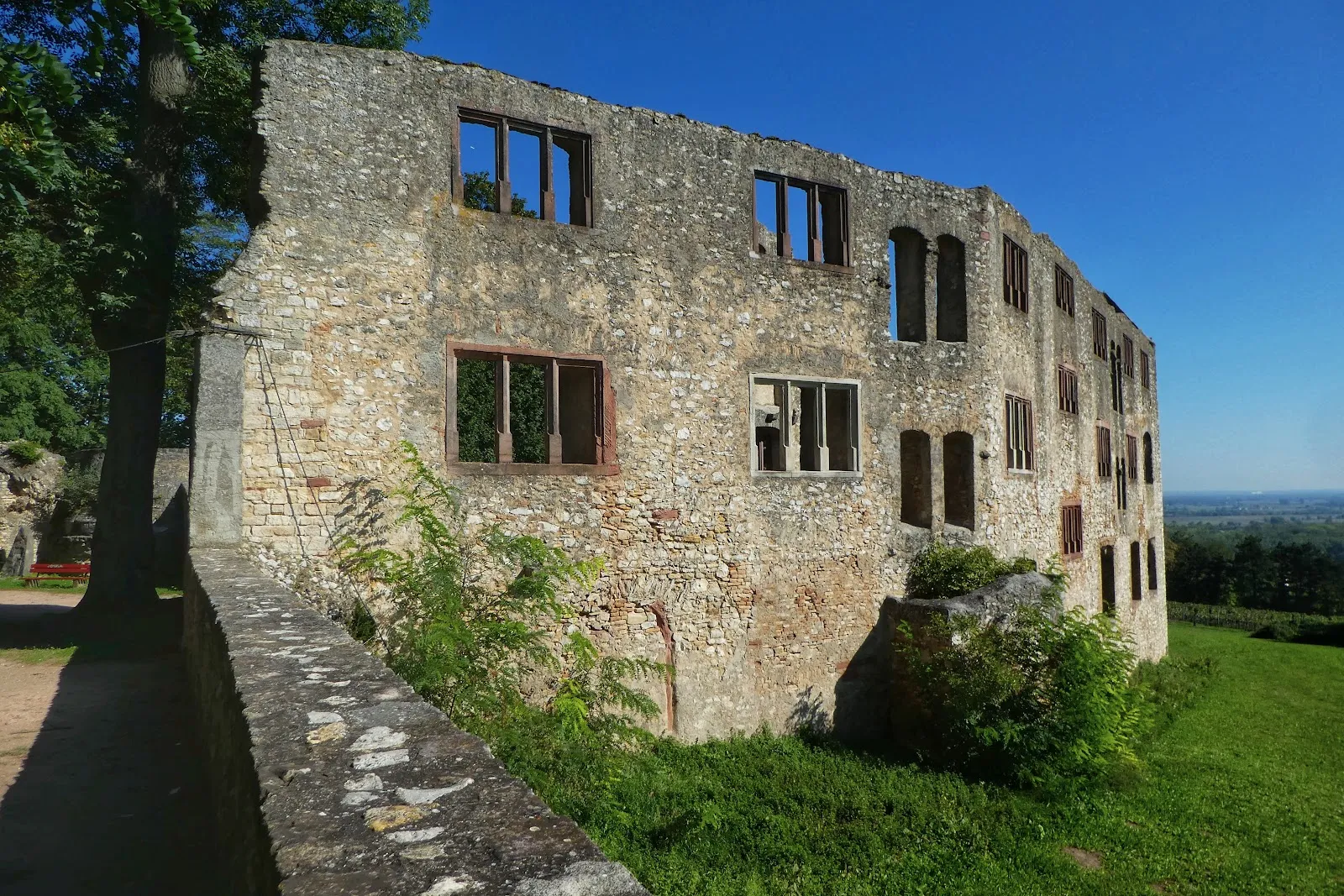 Руины замка Ландскрон над долиной Рейна