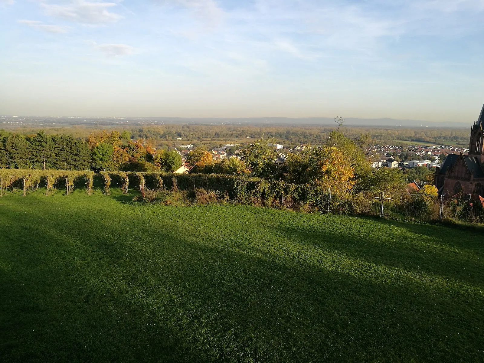 Руины замка Ландскрон над долиной Рейна