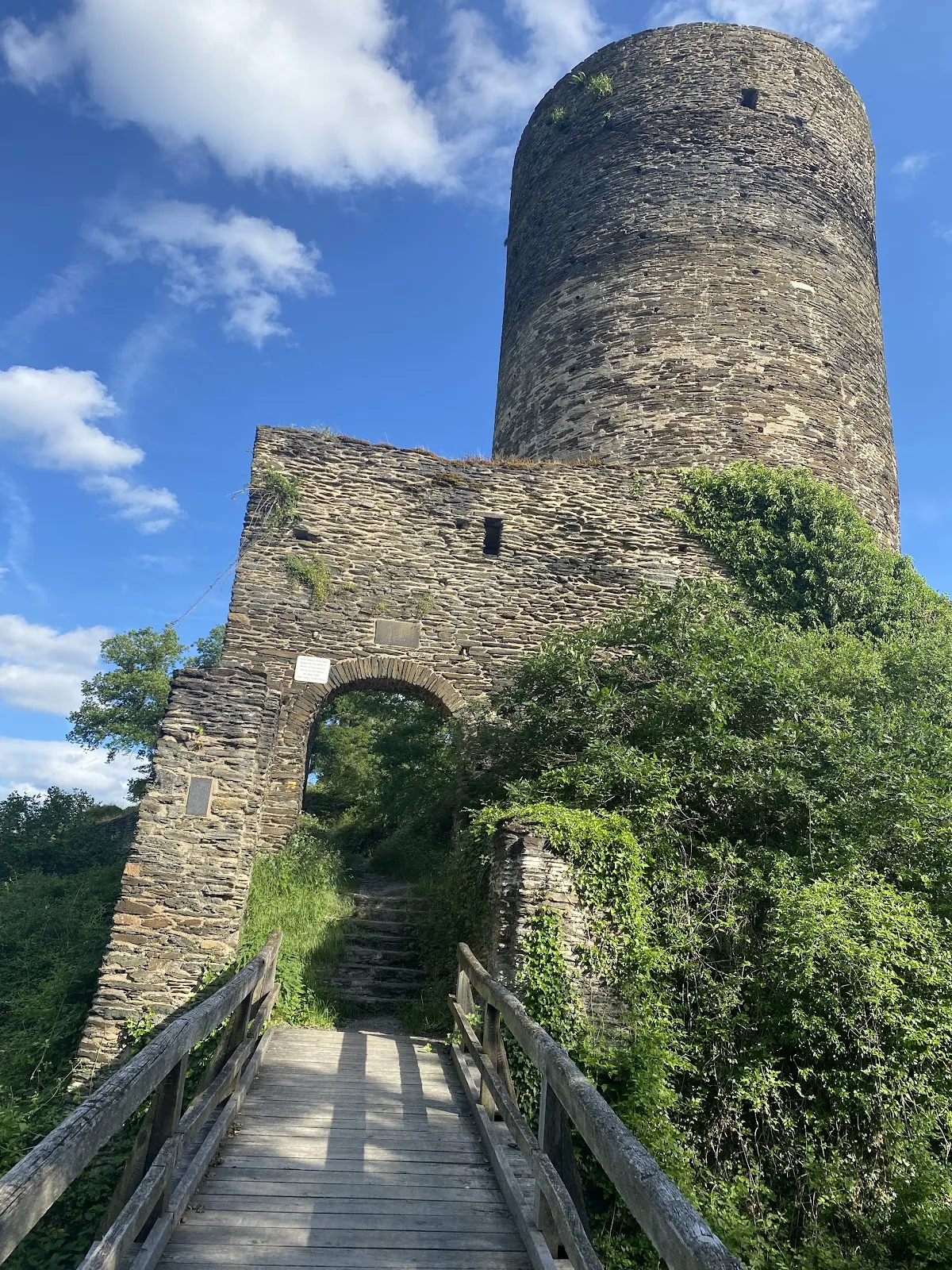 Руины замка Штальберг на вершине холма с видом на долину Рейна