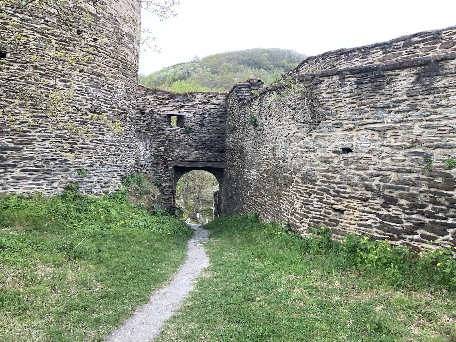 Руины замка Штальберг на вершине холма с видом на долину Рейна