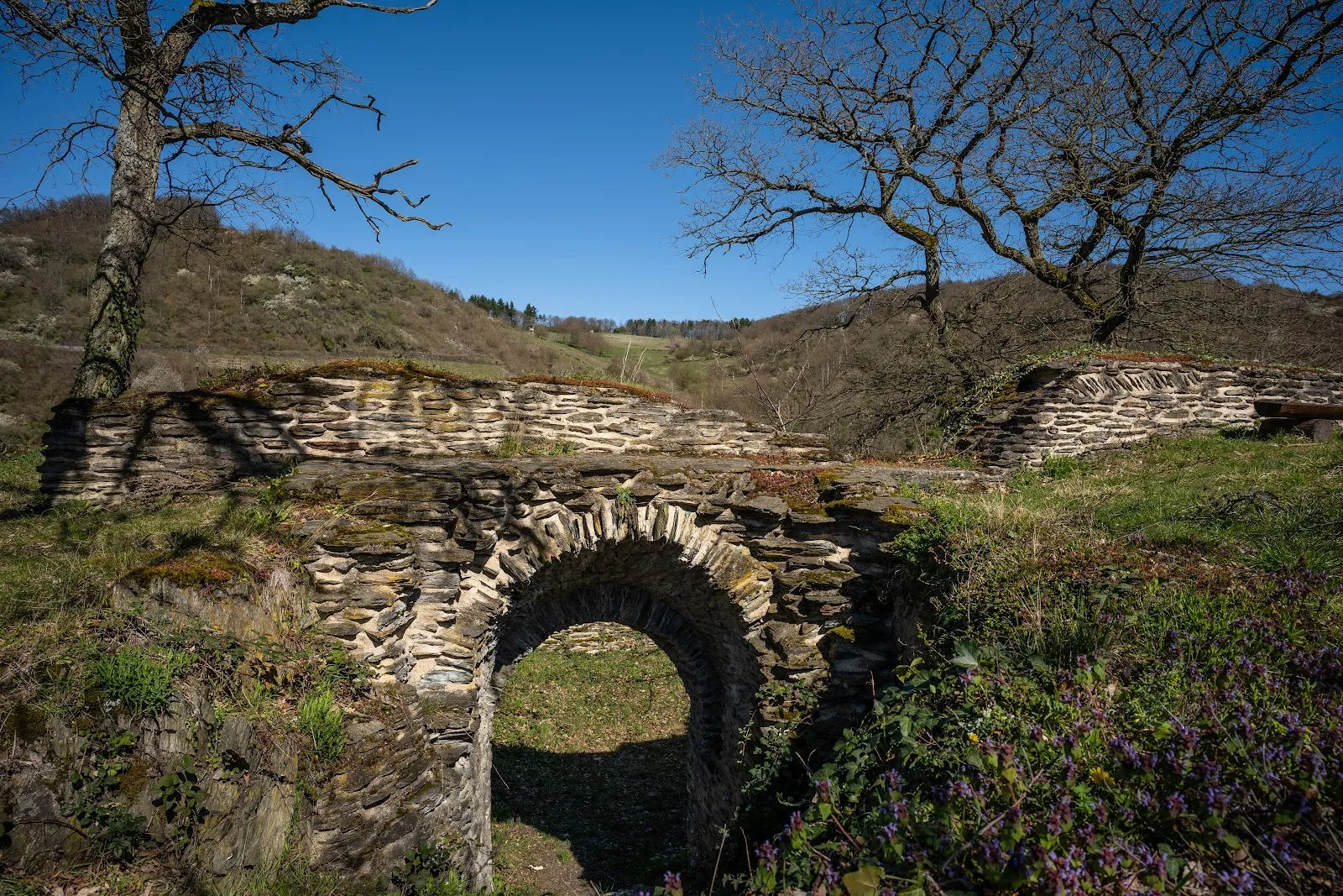 Руины замка Штальберг на вершине холма с видом на долину Рейна