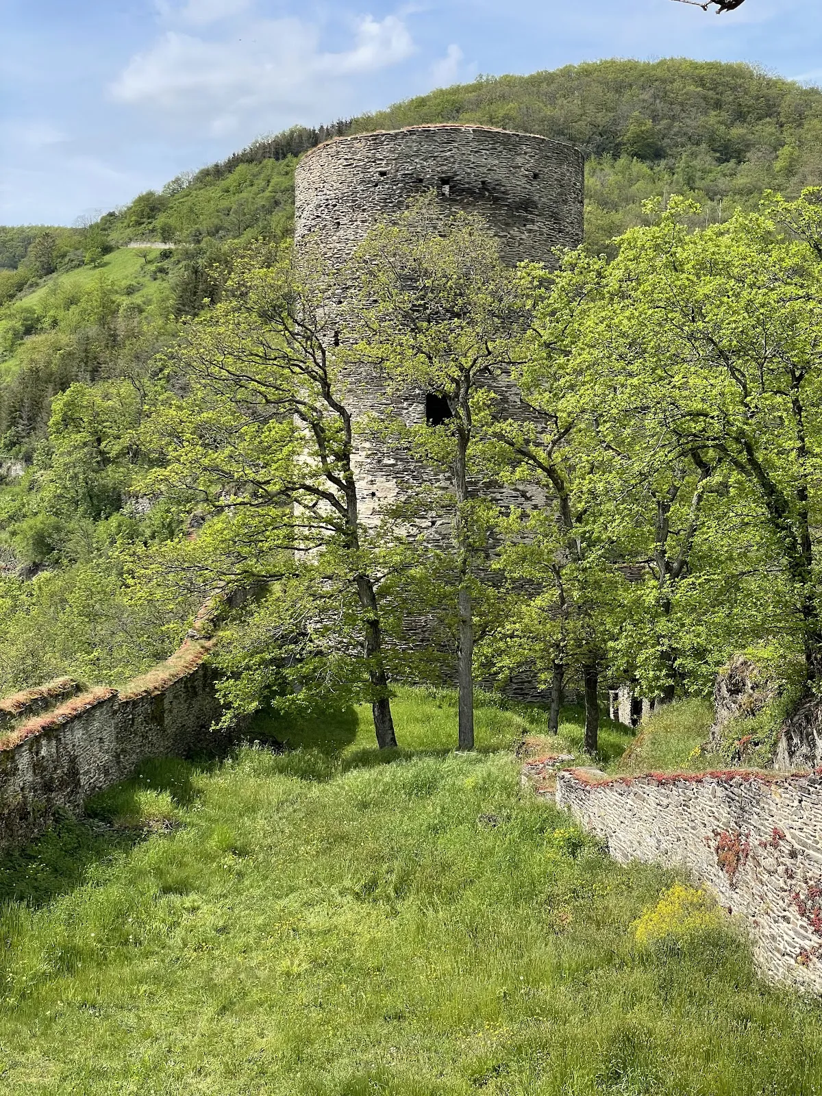 Руины замка Штальберг на вершине холма с видом на долину Рейна