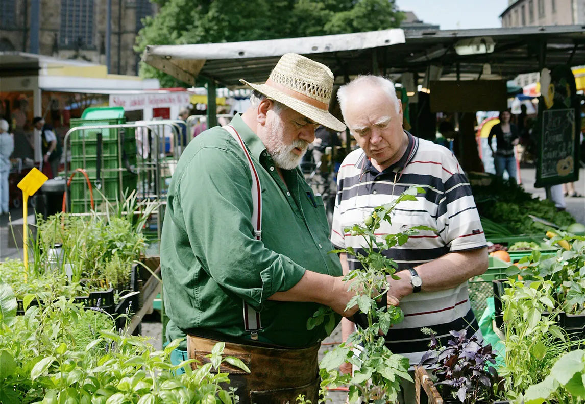 Еженедельный рынок Домсхоф в Бремене с продуктами и товарами