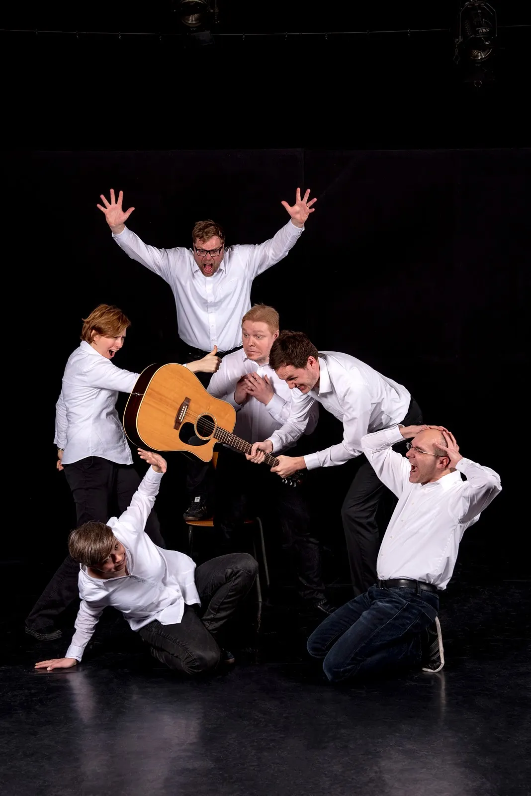 Сахарные свиньи