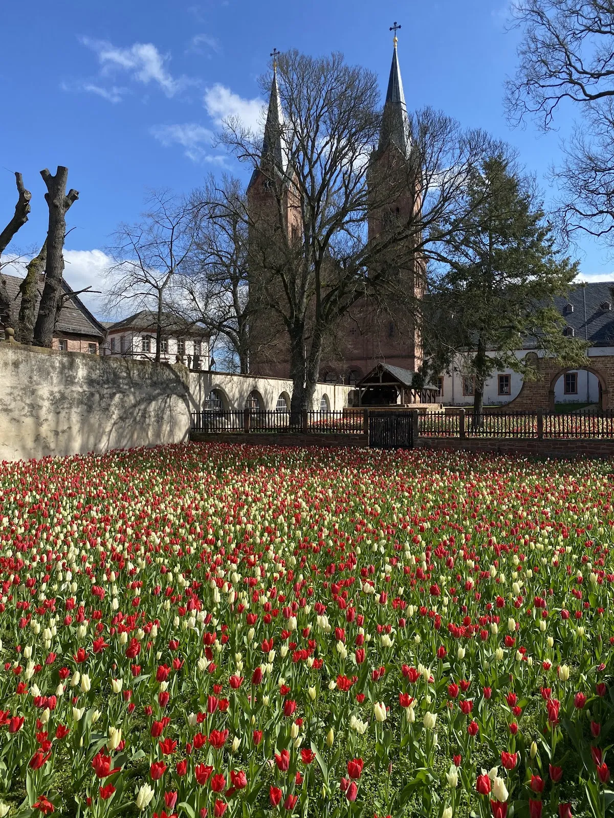 Вывеска с названием монастыря Селигенштадт на фоне исторического здания.