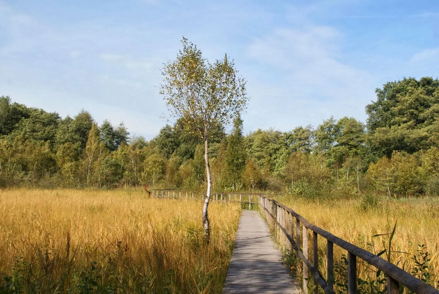 Озеро Шаальзее с зелеными холмами на берегу