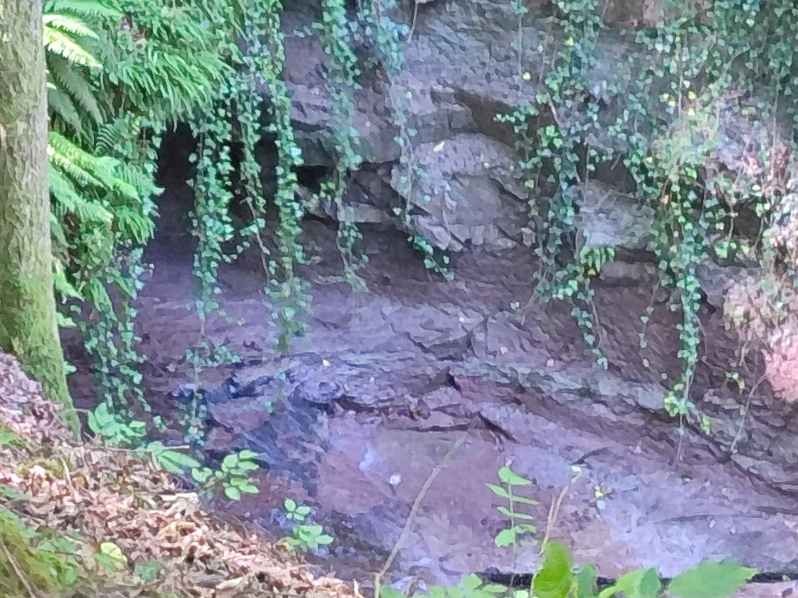 Шнайтерский водопад