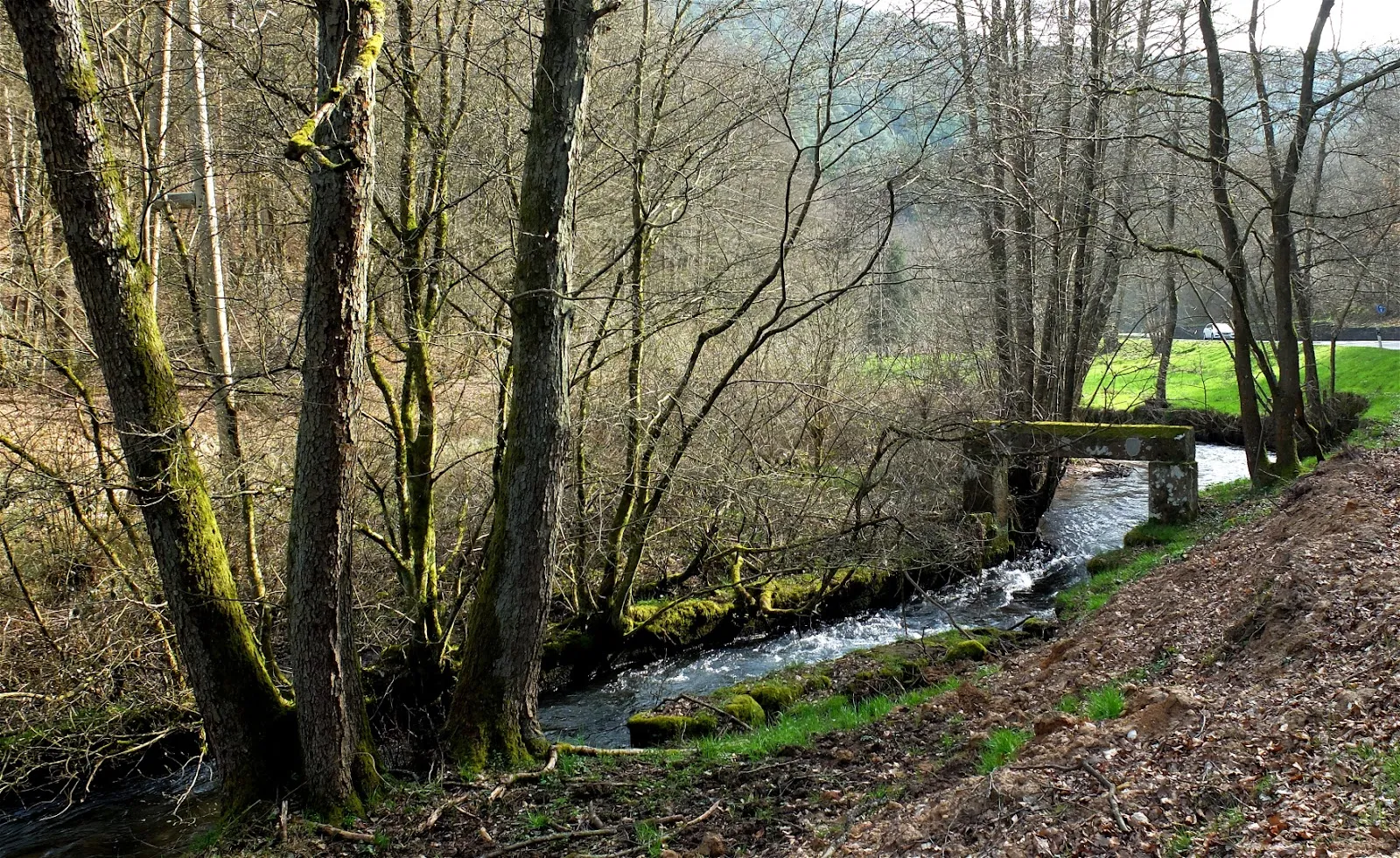 Ручей Шпайербах, Германия