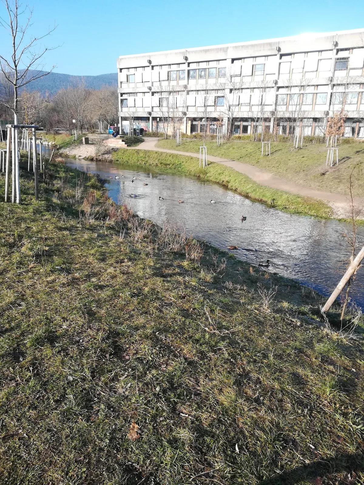 Ручей Шпайербах, Германия