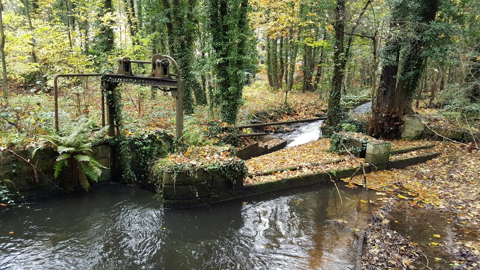 Ручей Шпайербах, Германия