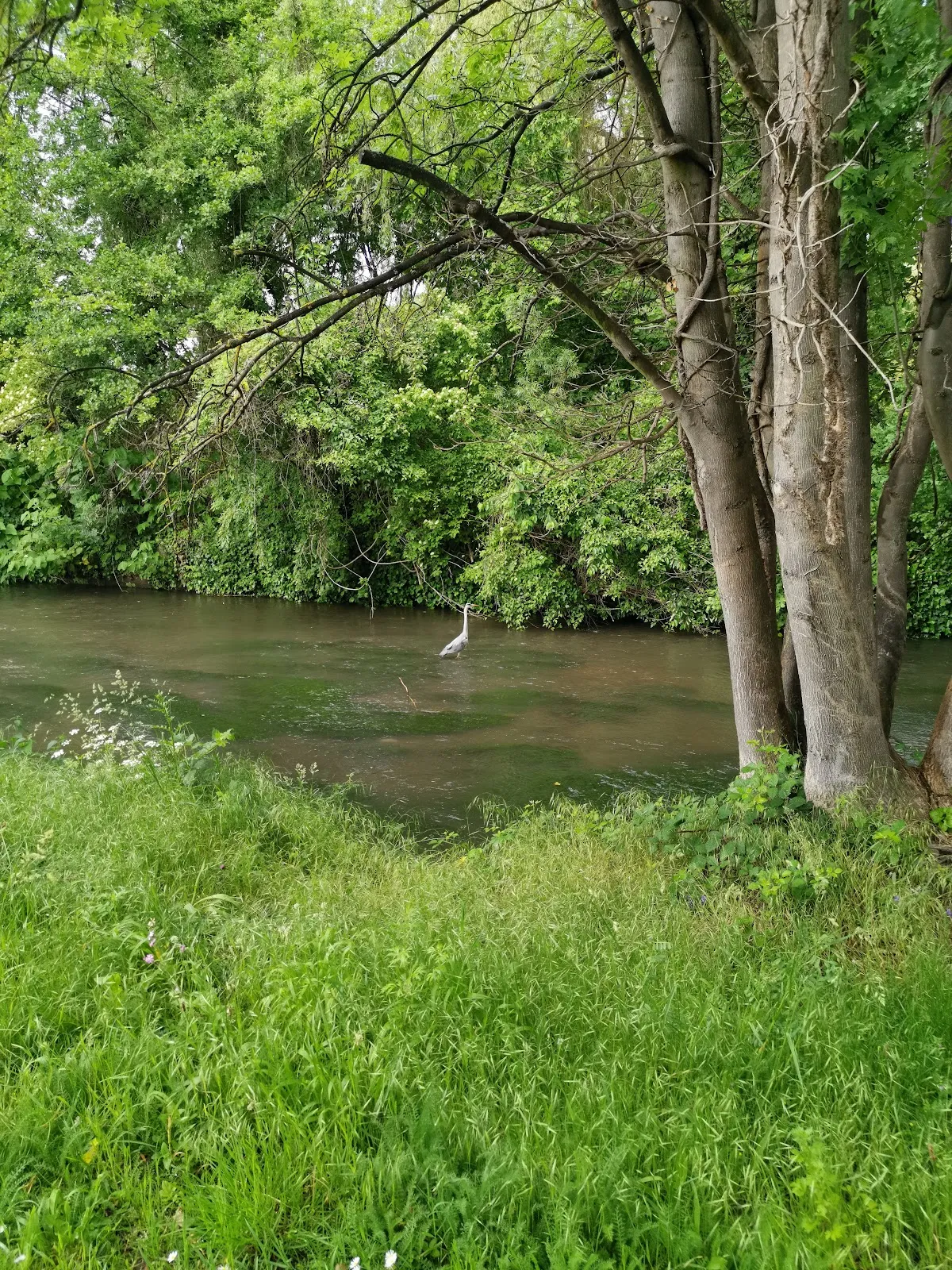 Ручей Шпайербах, Германия