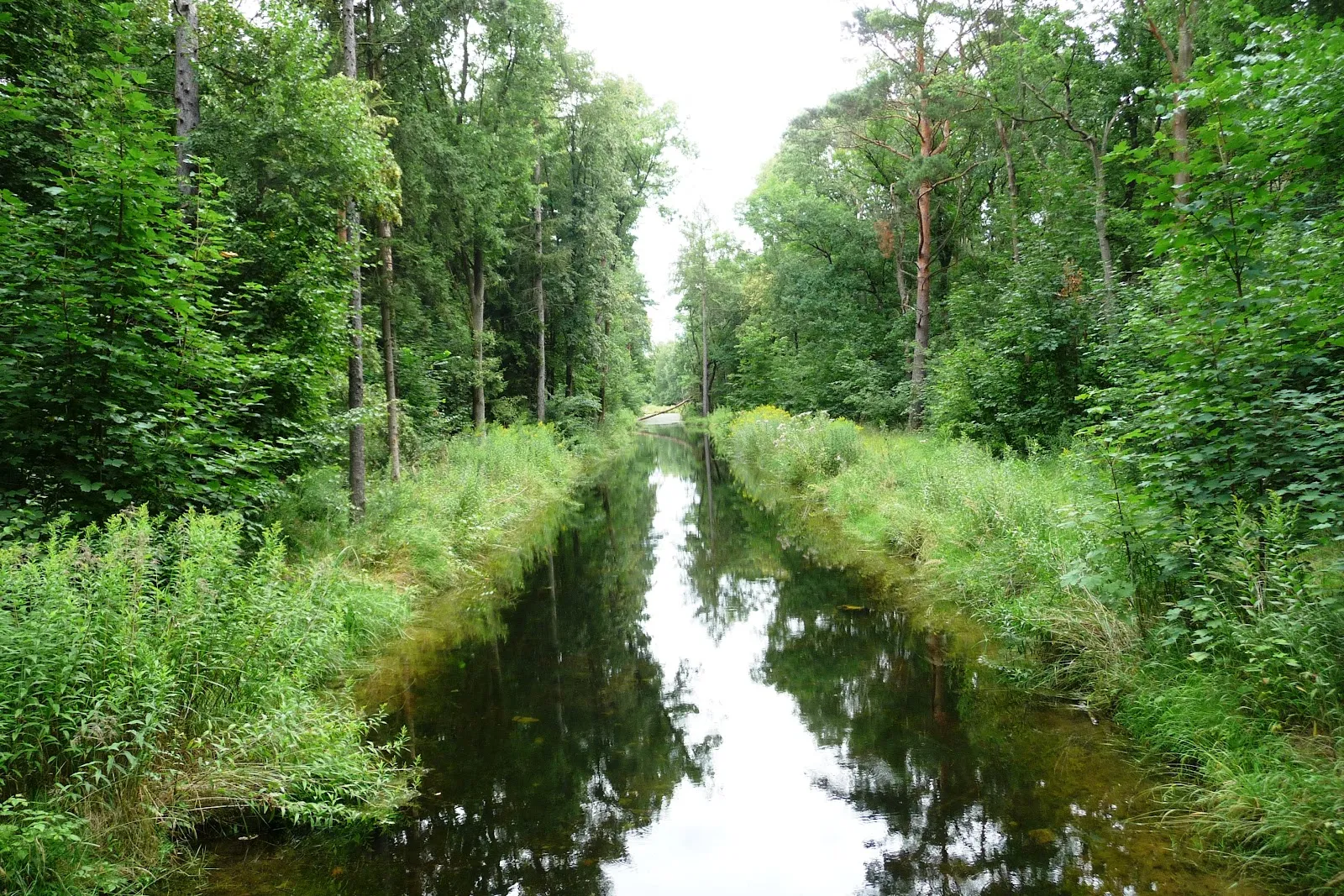 Шпандауэр Форст