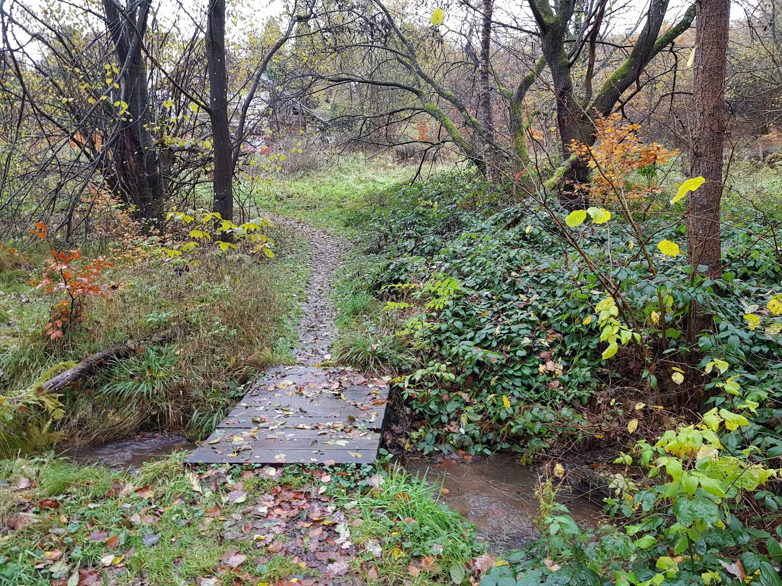 Шпелленштайн