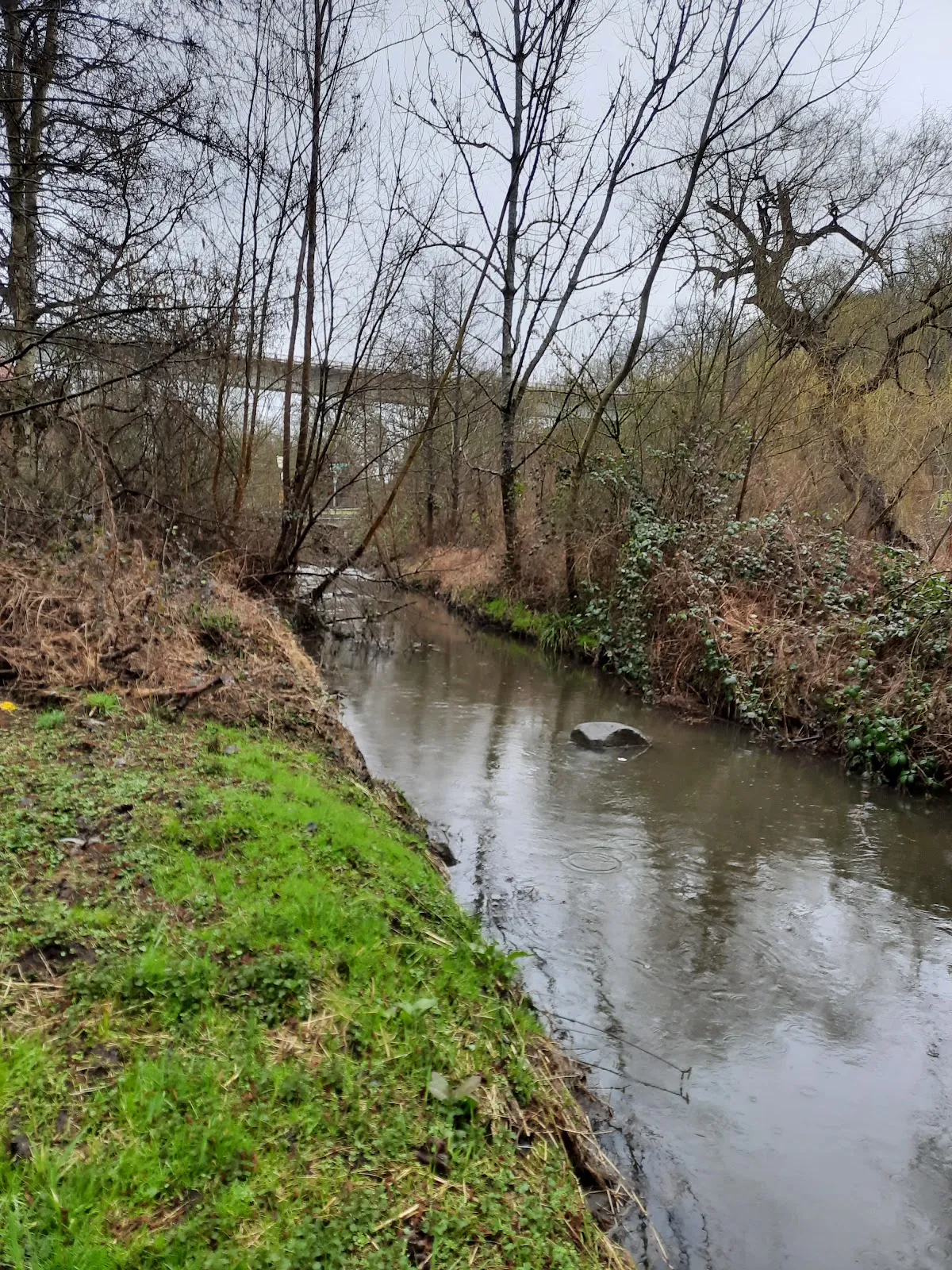 Шпелленштайн