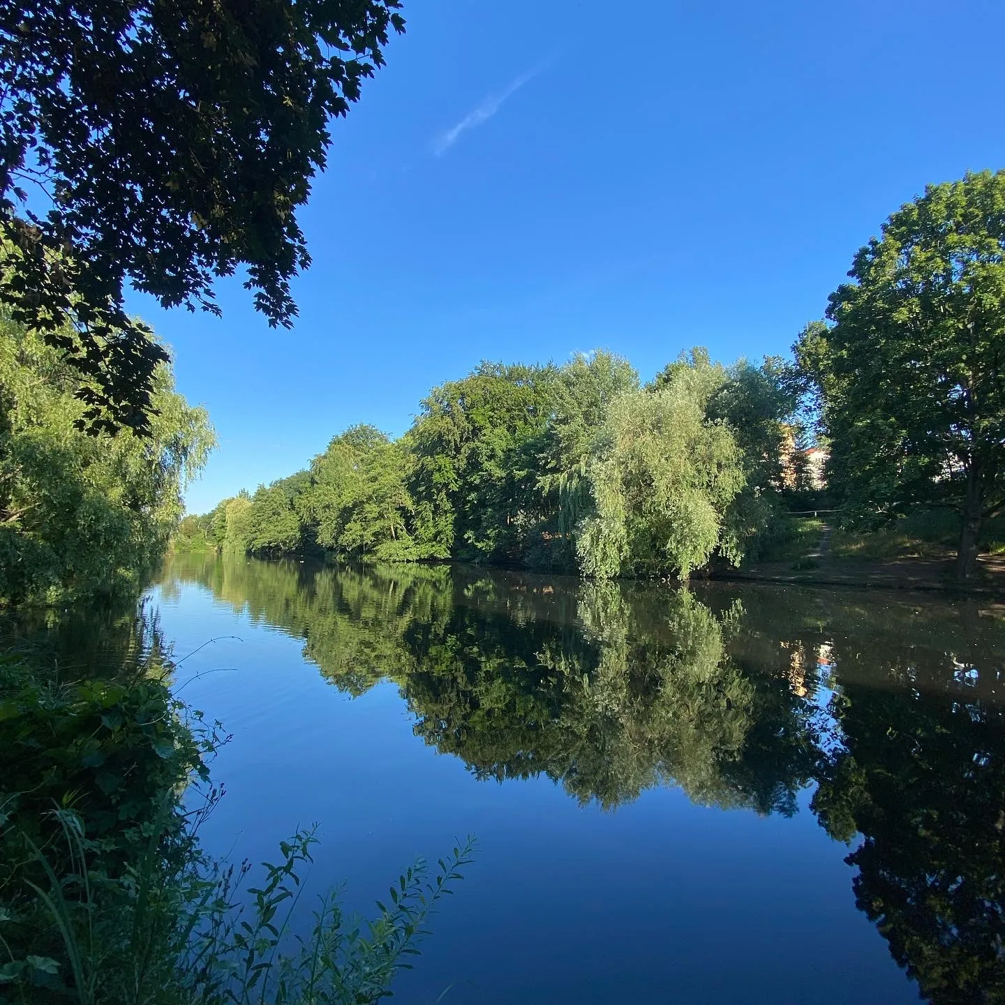 Вид на реку Шпрее с моста в Берлине