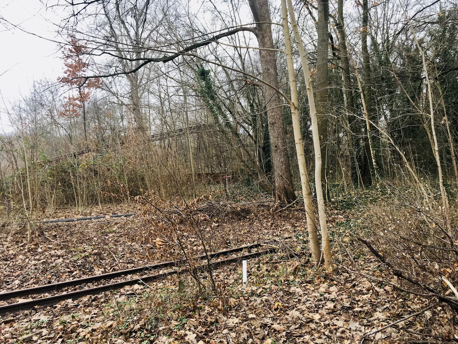 Заброшенные аттракционы в парке Шпреепарк, Берлин