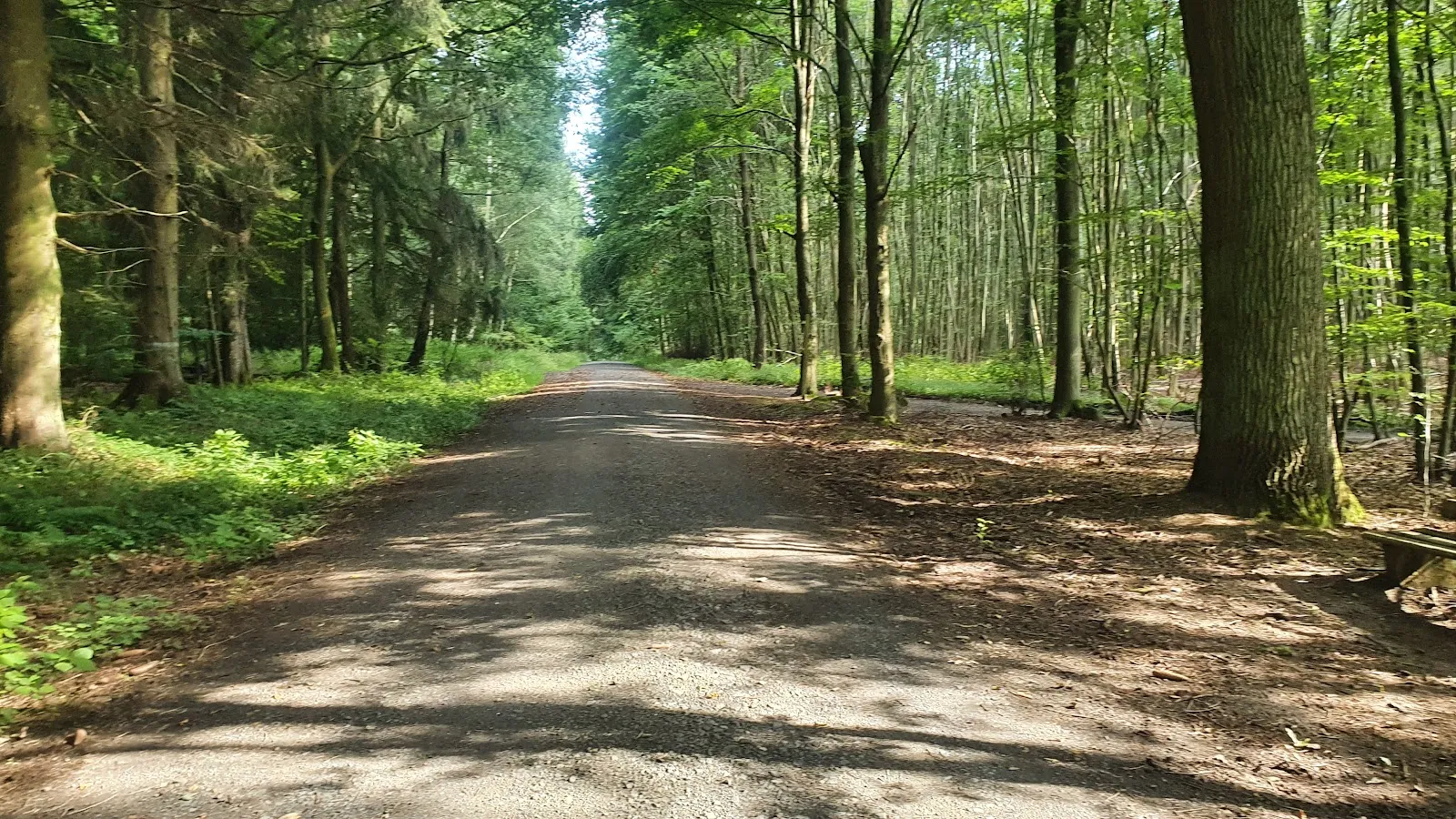 Штадтвульд Грюнберг