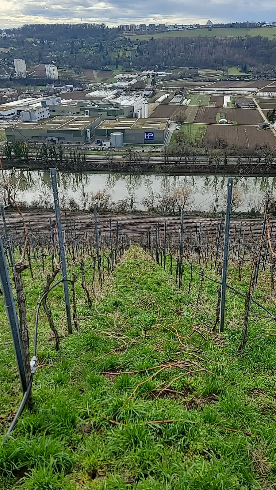 Панорамный вид с смотровой площадки Штаффельштайгер-Плэтцле