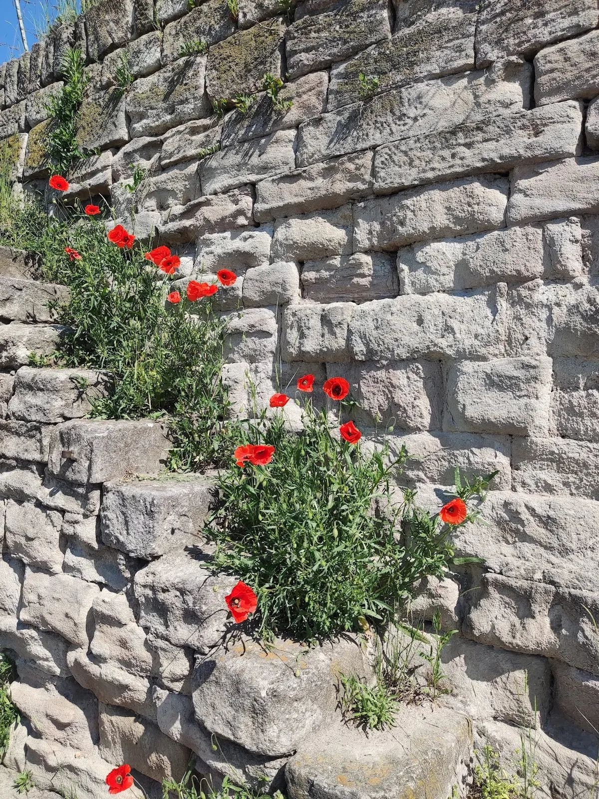 Панорамный вид с смотровой площадки Штаффельштайгер-Плэтцле