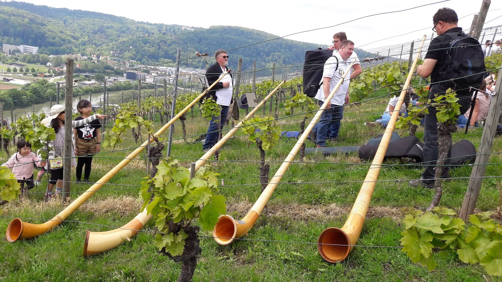 Панорамный вид с смотровой площадки Штаффельштайгер-Плэтцле