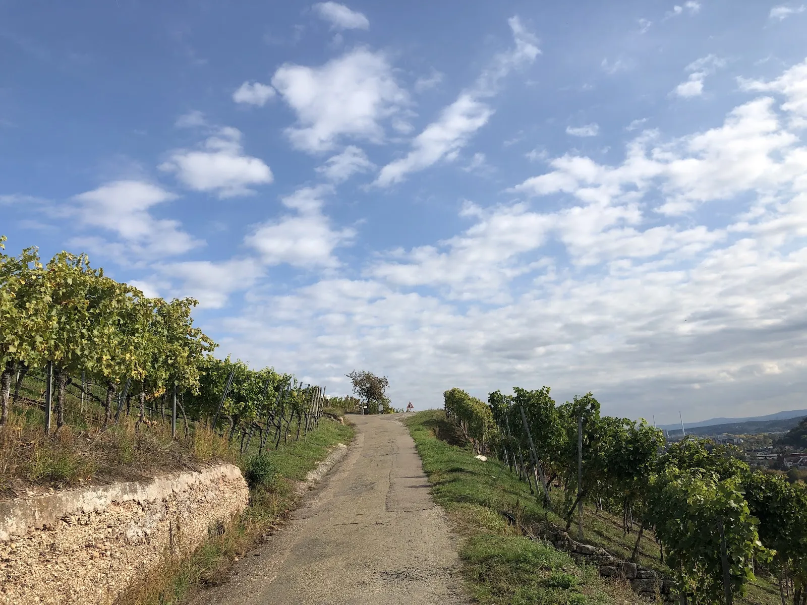 Панорамный вид с смотровой площадки Штаффельштайгер-Плэтцле