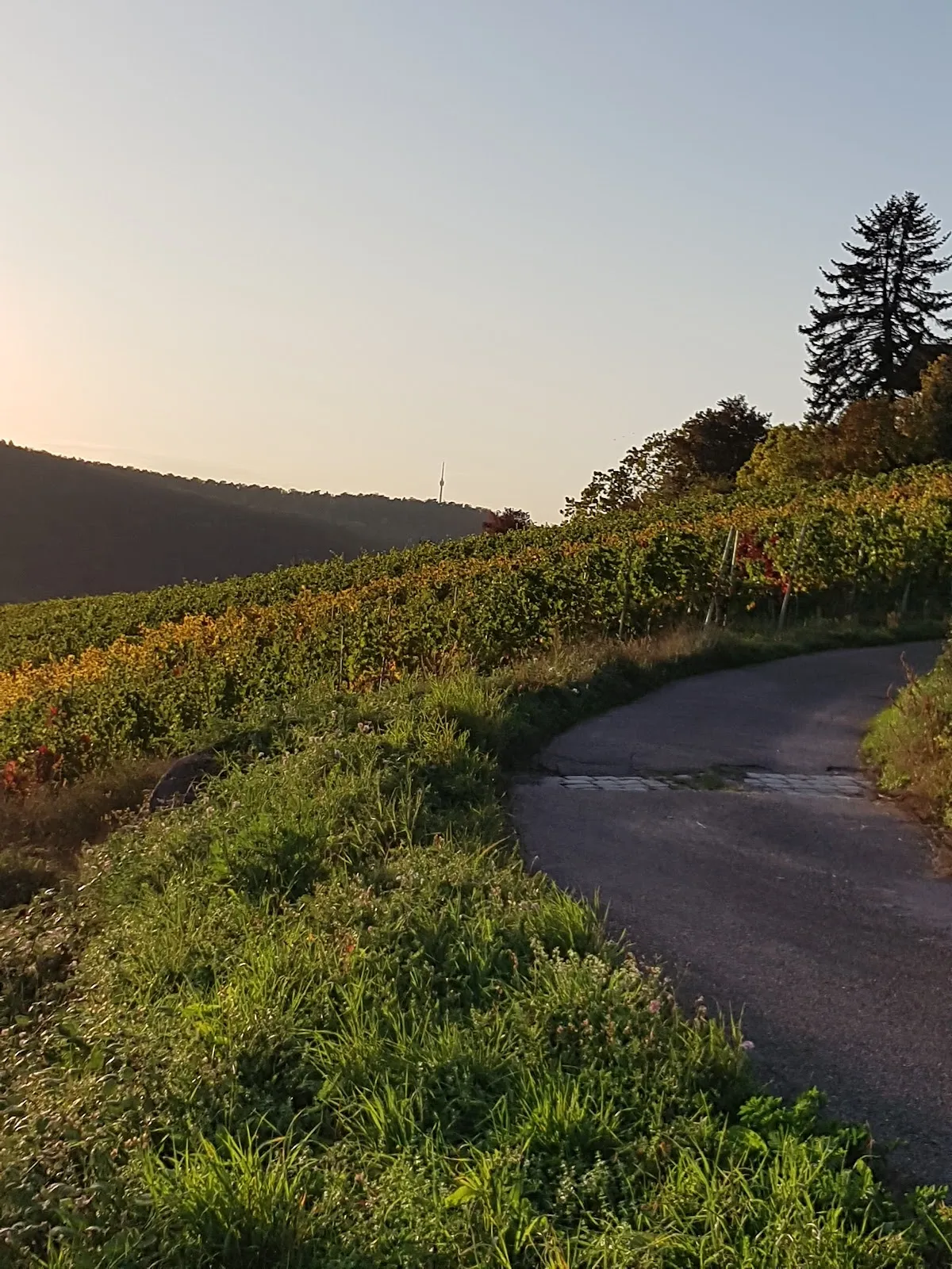 Панорамный вид с смотровой площадки Штаффельштайгер-Плэтцле