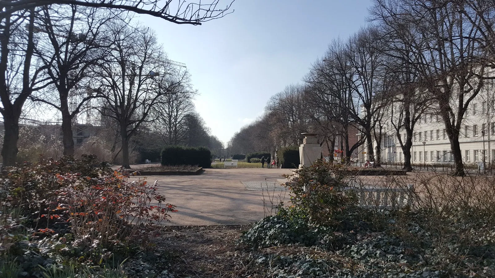 Исторические городские ворота Штайнтор в Ростоке, Германия