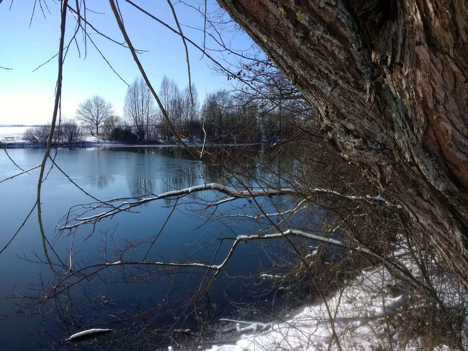 Вид на озеро Штеппах-Штаузее с зелеными берегами