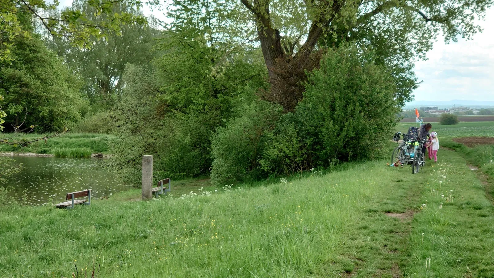 Вид на озеро Штеппах-Штаузее с зелеными берегами