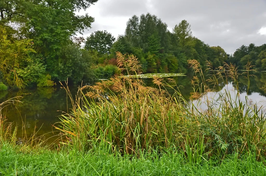 Вид на озеро Штеппах-Штаузее с зелеными берегами