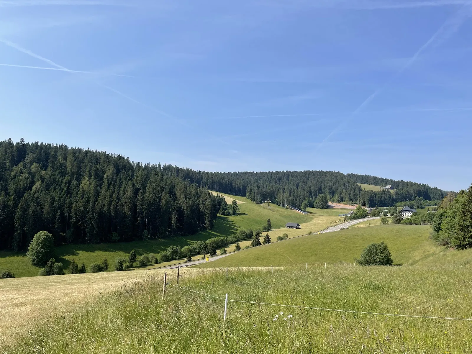 Живописный вид на лес в Шварцвальде