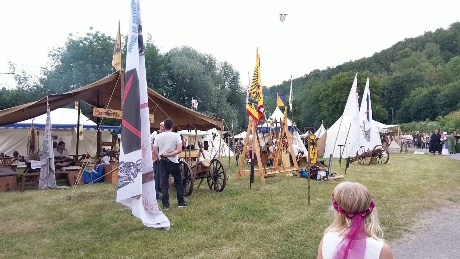 Живописный вид на лес в Шварцвальде