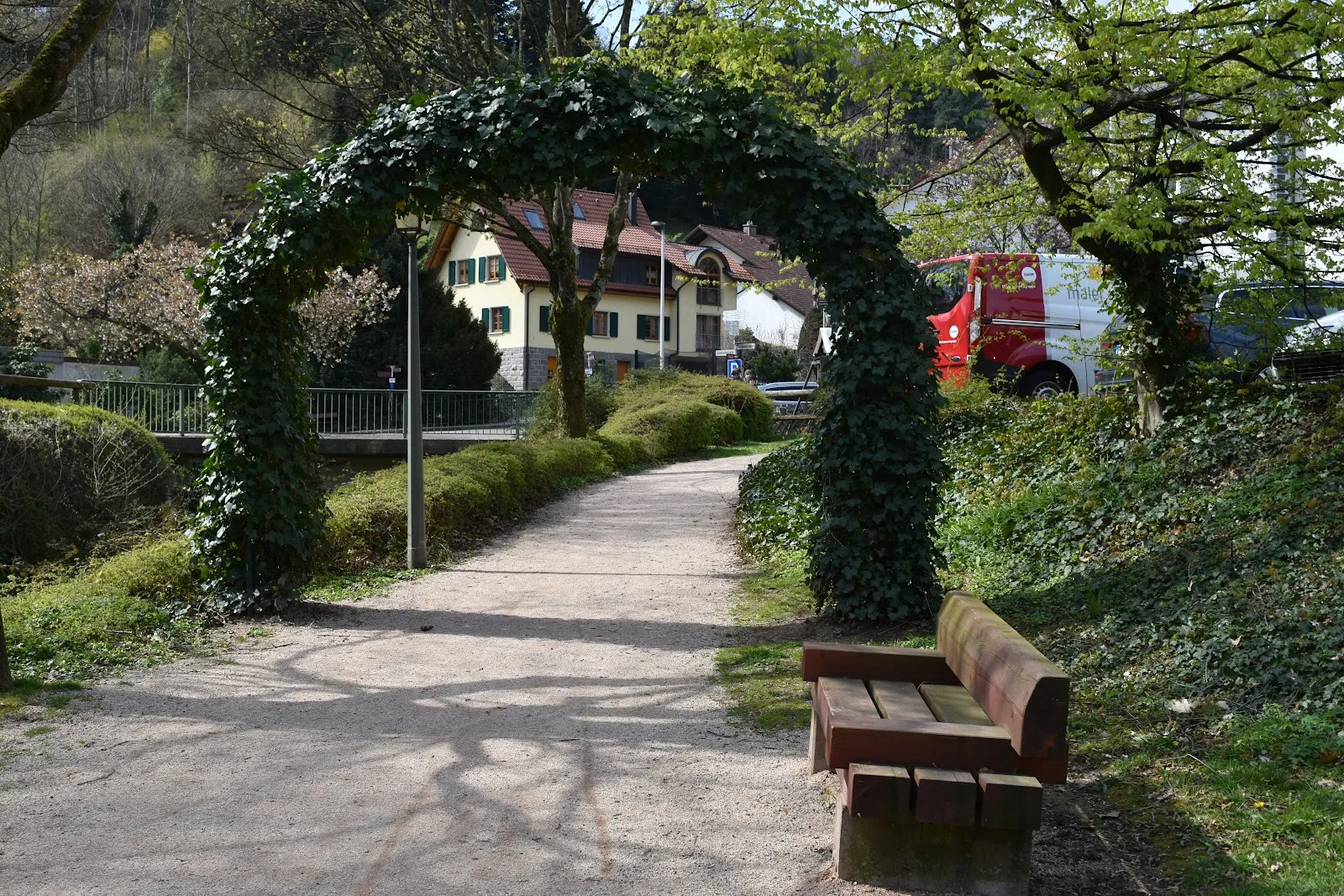 Живописный вид на лес в Шварцвальде