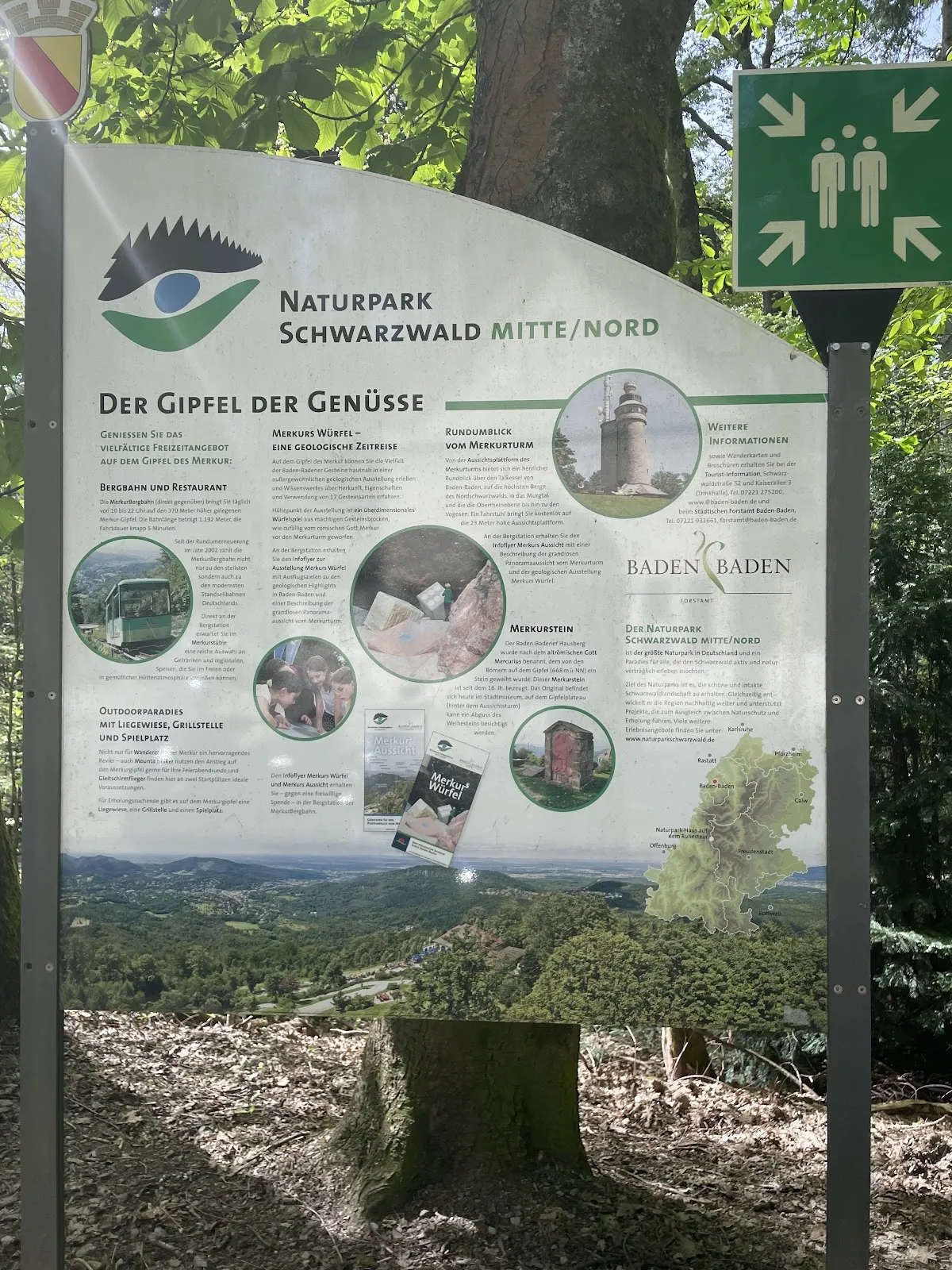 Живописный вид на лес в Шварцвальде