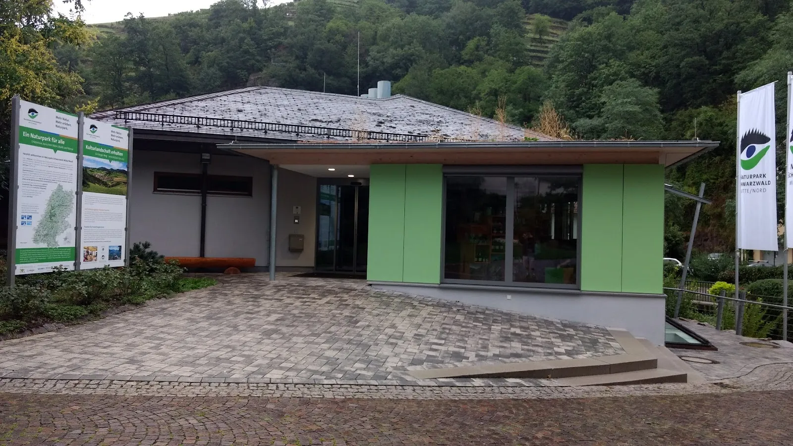 Живописный вид на лес в Шварцвальде