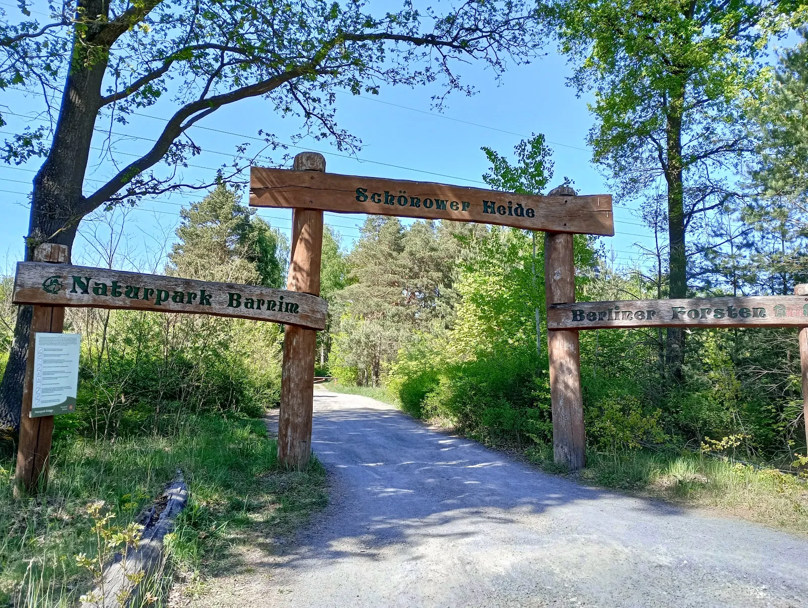 Шёноер Хайде